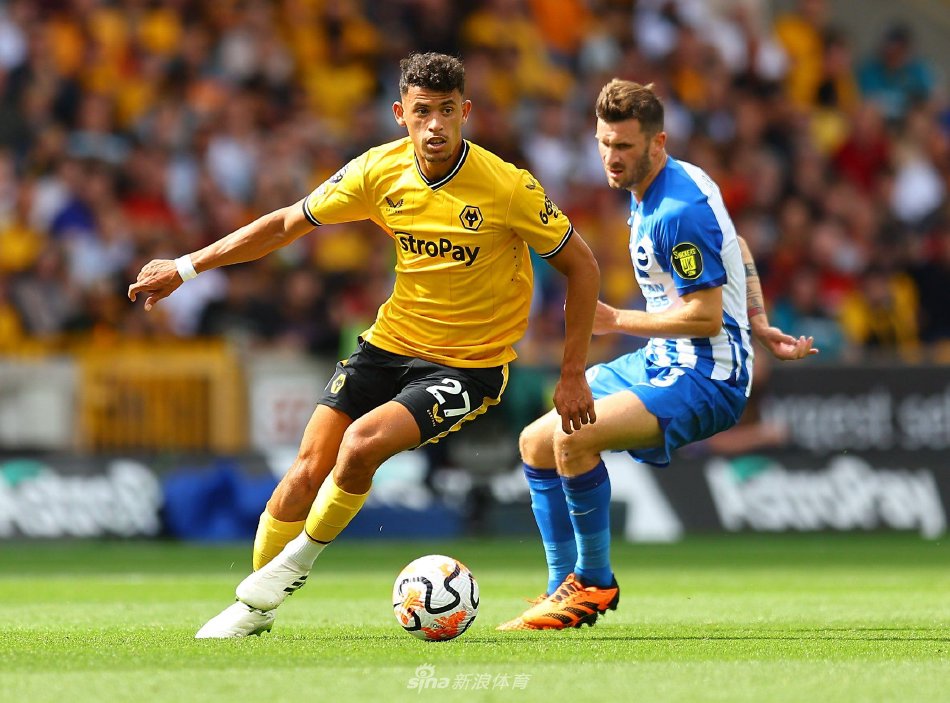 证明了其在 证明了其在